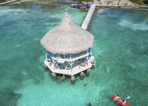 Pasadía Quinta del Mar